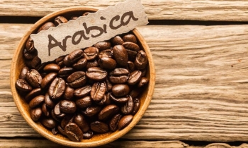 Tìm hiểu cà phê Arabica Bourbon – Nguồn gốc, đặc điểm